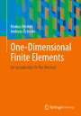 Andreas Öchsner: One-Dimensional Finite Elements, Buch