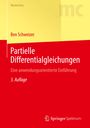 Ben Schweizer: Partielle Differentialgleichungen, Buch