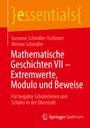 Werner Schindler: Mathematische Geschichten VII ¿ Extremwerte, Modulo und Beweise, Buch