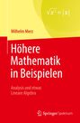 Wilhelm Merz: Höhere Mathematik in Beispielen, Buch