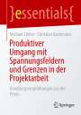 Christian Bachmann: Produktiver Umgang mit Spannungsfeldern und Grenzen in der Projektarbeit, Buch