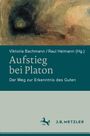 : Aufstieg bei Platon, Buch