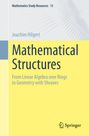 Joachim Hilgert: Mathematical Structures, Buch