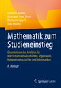 Gabriele Adams: Mathematik zum Studieneinstieg, Buch