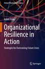 Titel: "Organizational Resilience in Action." Bunte, verschlungene Linien mit Springer-Logo unten rechts.