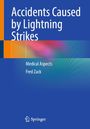 Fred Zack: Accidents Caused by Lightning Strikes, Buch