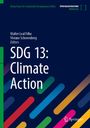 Titel: "SDG 13: Climate Action". Autoren: Walter Leal Filho, Viviane Scherenberg. Bunte, diagonale Streifen auf dunklem Hintergrund.