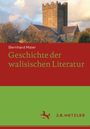 Bernhard Maier: Geschichte der walisischen Literatur, Buch