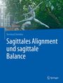 Text: "Bernhard Heimkes. Sagittales Alignment und sagittale Balance. Springer." Abgebildet: Eine Statue vor grünen Bäumen.