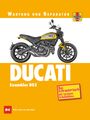 Matthew Coombs: Ducati Scrambler 803, Buch