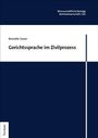 Annette Sauer: Gerichtssprache im Zivilprozess, Buch