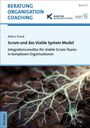 Anton Yurok: Scrum und das Viable System Model, Buch