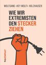 Wolfgang Holzhauser: Wie wir Extremisten den Stecker ziehen, Buch
