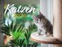 : Kalender Katzen 2026 Eintragkalender, KAL