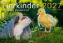 „Tierkinder 2027 – Auf dem Bauernhof“. Ein Kätzchen und ein Entenküken auf einer Wiese mit grünen Blättern im Hintergrund.