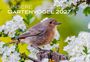 „UNSERE GARTENVÖGEL 2027“ in Weiß. Ein kleiner Vogel sitzt auf einem Ast, umgeben von weißen Blüten.