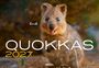 Quokkas 2027 Kalender, KAL