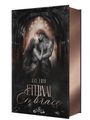 Der Text lautet: "A Romeo & Juliet Vampire Tale", "Jay Eris", "Eternal Embrace", "Unholy". Eine düstere Illustration eines Paares.