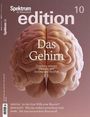 "Das Gehirn" steht im Zentrum über einem Gehirnmodell. Im Hintergrund sind dezente, sanfte Farben.