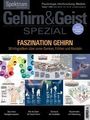 Spektrum, Gehirn&Geist, SPEZIAL, FASZINATION GEHIRN. 38 Infografiken. Titelbilder von Infografiken zum Gehirn.