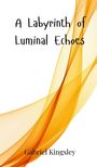 Gabriel Kingsley: A Labyrinth of Luminal Echoes, Buch