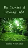 Juliana Wentworth: The Cathedral of Dissolving Light, Buch