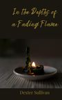 Dexter Sullivan: In the Depths of a Fading Flame, Buch