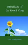 Levi Montgomery: Intersections of the Eternal Flame, Buch