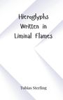 Tobias Sterling: Hieroglyphs Written in Liminal Flames, Buch