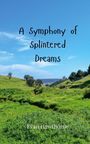 Evan Hawthorne: A Symphony of Splintered Dreams, Buch