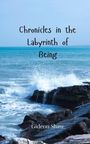 Gideon Shaw: Chronicles in the Labyrinth of Being, Buch