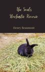 Henry Beaumont: The Soul's Stochastic Reverie, Buch