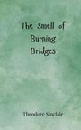 Theodore Sinclair: The Smell of Burning Bridges, Buch