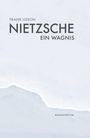 Frank Lisson: Nietzsche, Buch