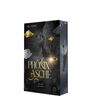 Pia L. Sorrel: Phönixasche - Die Saat der Nacht, Buch