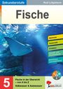 „Fische“, „Sekundarstufe“, „Merkmale“, „Systematik“, Rochen schwimmt im blauen Wasser, „Fische in der Übersicht“.