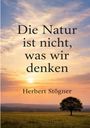 „Die Natur ist nicht, was wir denken“ von Herbert Stögner. Landschaft mit Baum und Sonnenuntergang am Horizont.