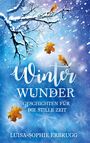 Luisa-Sophie Erbrugg: Winterwunder, Buch