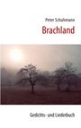 Peter Schuhmann: Brachland, Buch