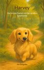 Jan Seegelke: Harvey, Buch