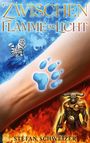Stefan Schweizer: Zwischen Flamme und Licht, Buch