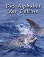 Text: "Das Alphabet der Delfine" und "Doris Thomas". Ein Delphin schwimmt im blauen Wasser.