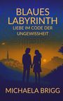 "BLAUES LABYRINTH: LIEBE IM CODE DER UNGEWISSHEIT" von Michaela Brigg. Illustration: Paar vor Sonnenuntergang.
