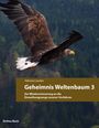 Valruna Loacker: Geheimnis Weltenbaum, Buch