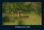Tobias Becker: Waldbewohner 2026 Fotokalender DIN A4, KAL