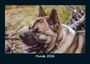 Tobias Becker: Hunde 2026 Fotokalender DIN A5, KAL