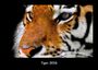 Tobias Becker: Tiger 2026 Fotokalender DIN A3, KAL