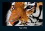 Tobias Becker: Tiger 2026 Fotokalender DIN A4, KAL