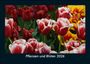 Tobias Becker: Pflanzen und Blüten 2026 Fotokalender DIN A5, KAL