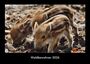 Tobias Becker: Waldbewohner 2026 Fotokalender DIN A3, KAL